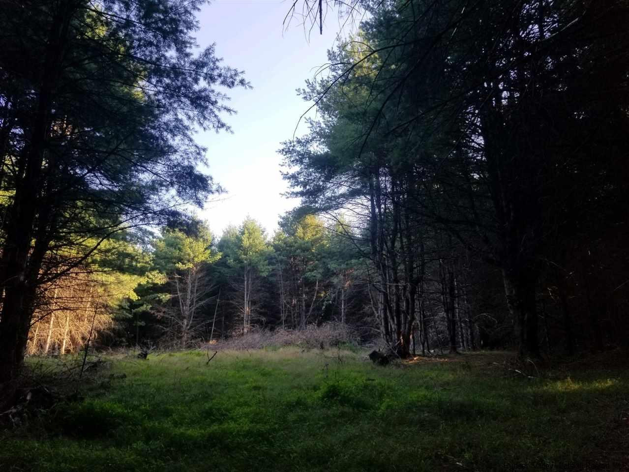 Tbd Irish Cape Road Ellenville, NY 12428 - Photo 17 of 29 Photo 17