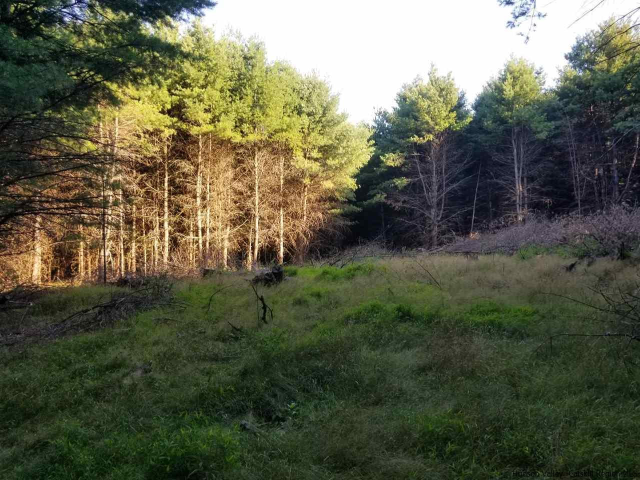 Tbd Irish Cape Road Ellenville, NY 12428 - Photo 18 of 29 Photo 18