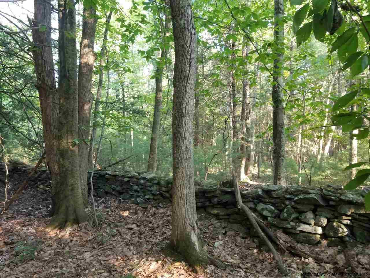 Tbd Irish Cape Road Ellenville, NY 12428 - Photo 19 of 29 Photo 19