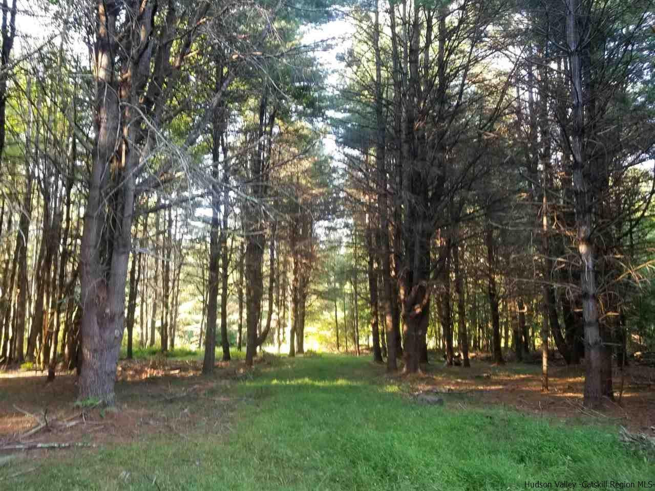 Tbd Irish Cape Road Ellenville, NY 12428 - Photo 20 of 29 Photo 20