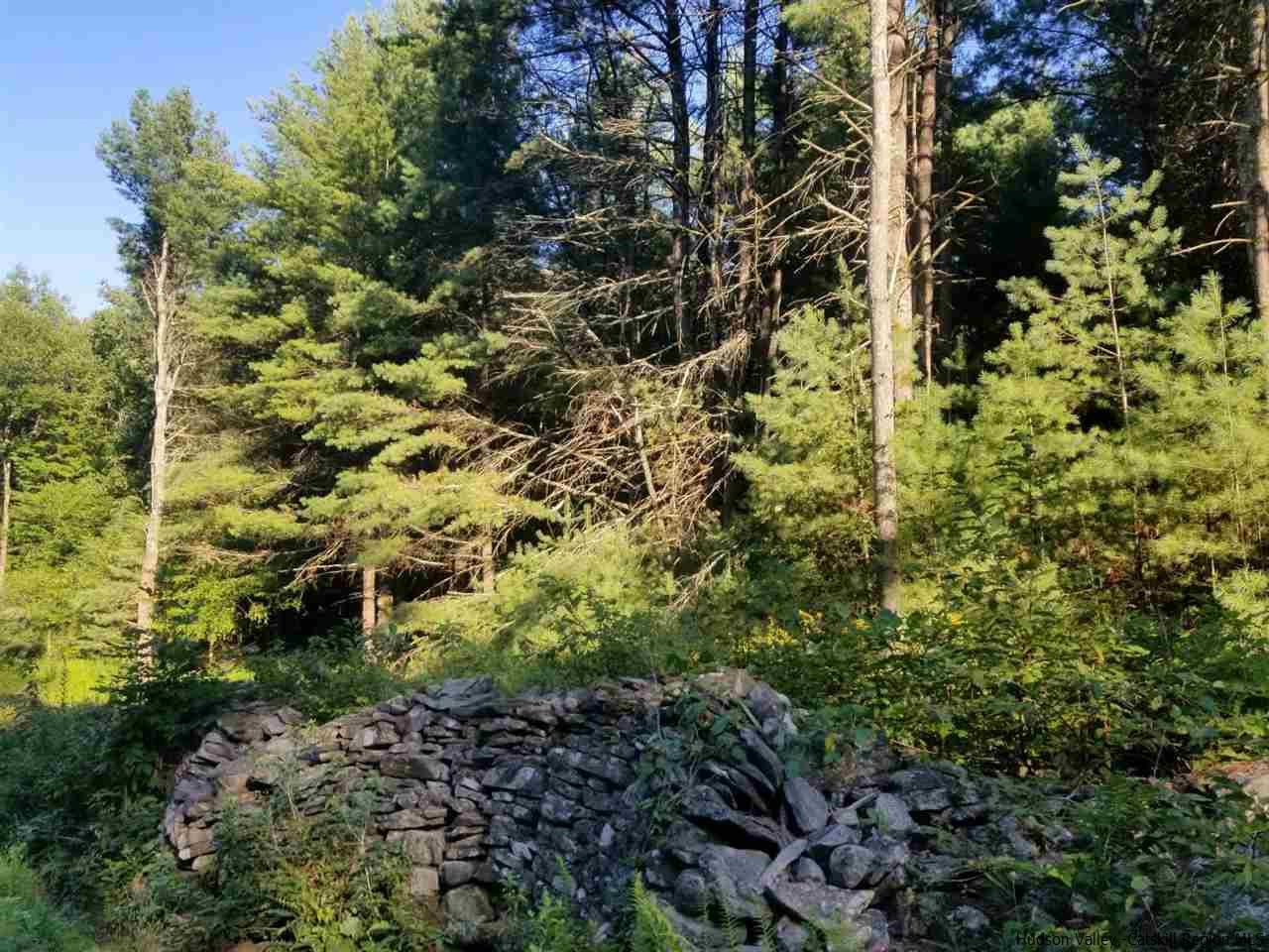 Tbd Irish Cape Road Ellenville, NY 12428 - Photo 2 of 29 Photo 2