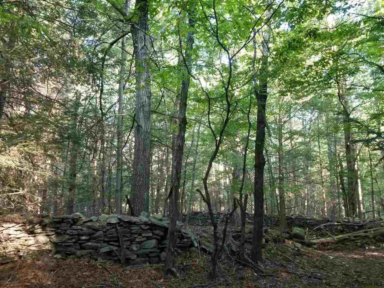 Tbd Irish Cape Road Ellenville, NY 12428 - Photo 21 of 29 Photo 21