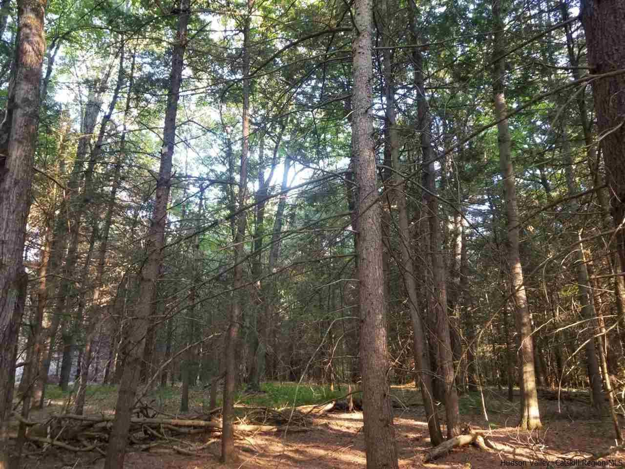 Tbd Irish Cape Road Ellenville, NY 12428 - Photo 22 of 29 Photo 22