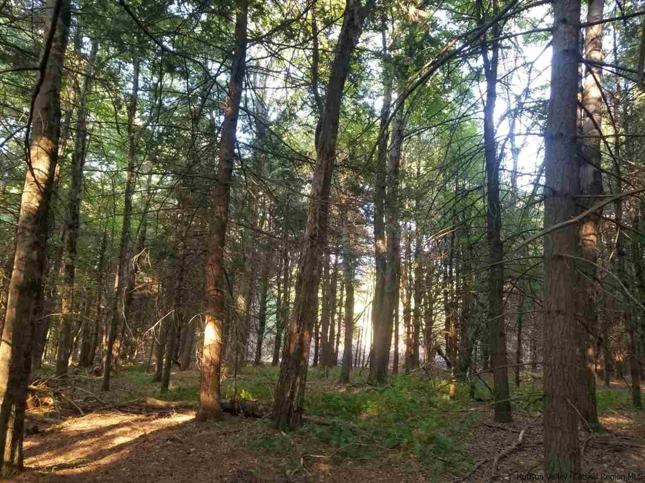 Tbd Irish Cape Road Ellenville, NY 12428 - Photo 23 of 29 Photo 23