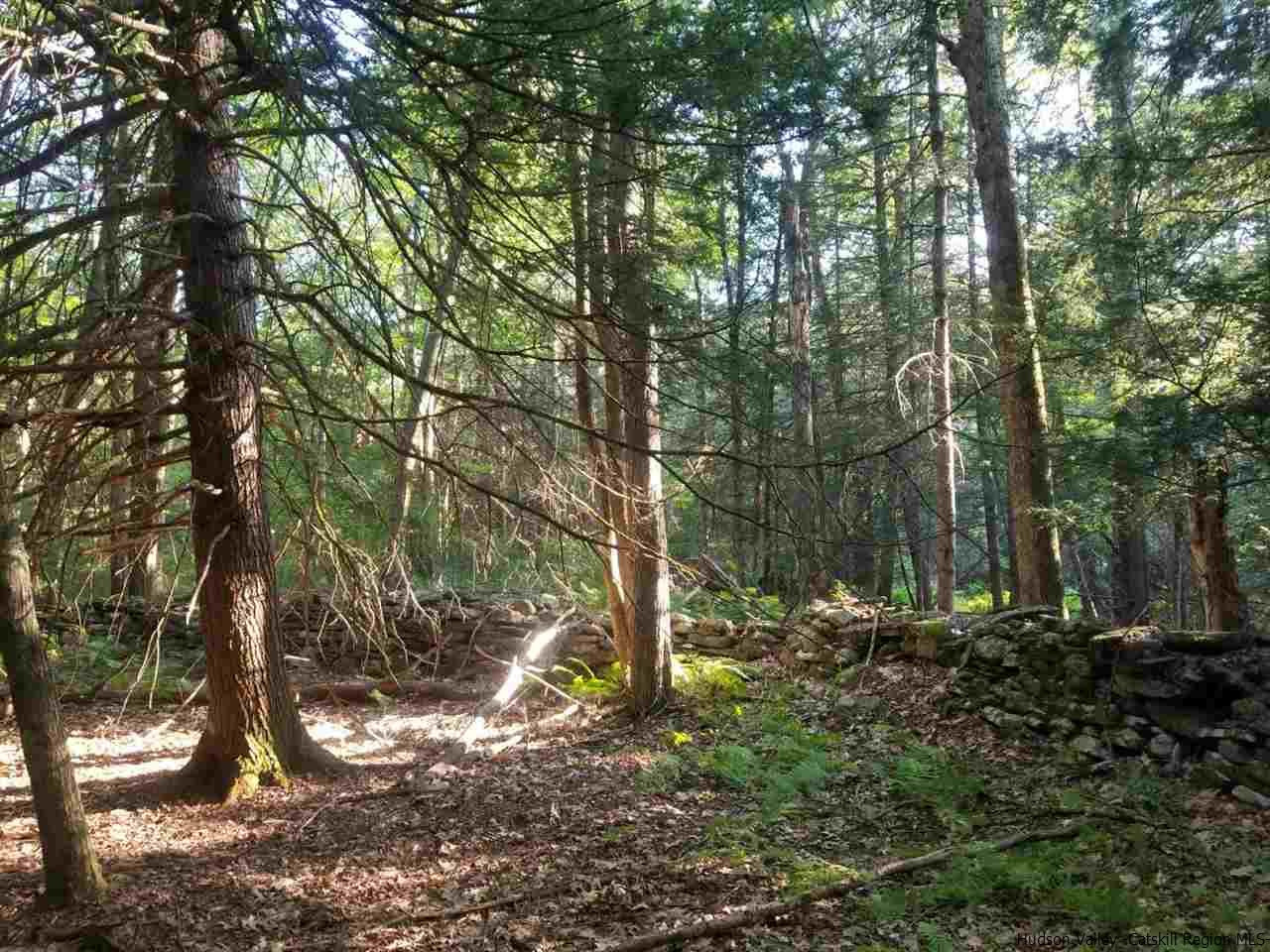 Tbd Irish Cape Road Ellenville, NY 12428 - Photo 24 of 29 Photo 24