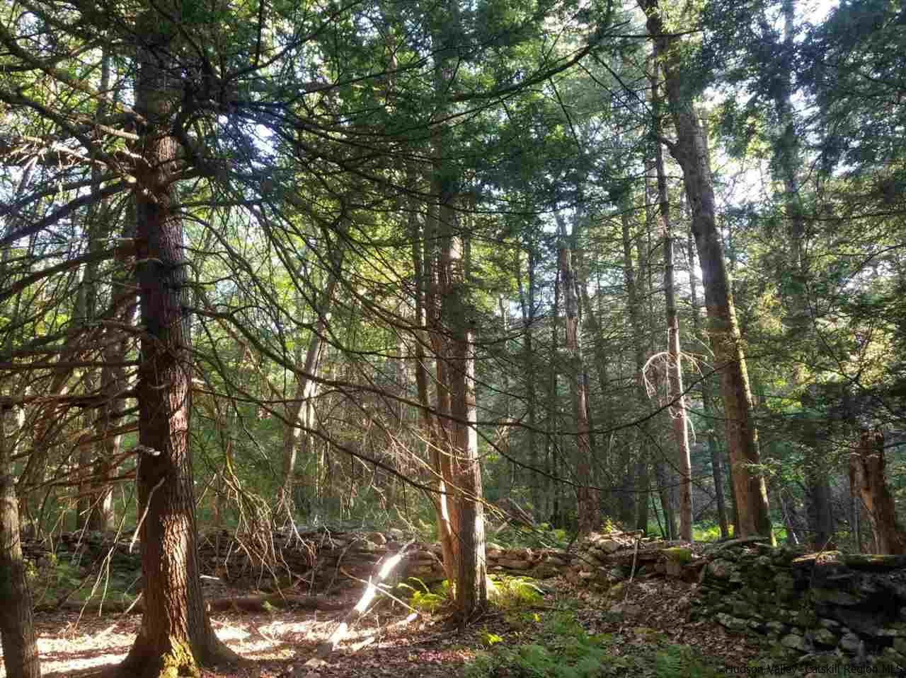 Tbd Irish Cape Road Ellenville, NY 12428 - Photo 25 of 29 Photo 25