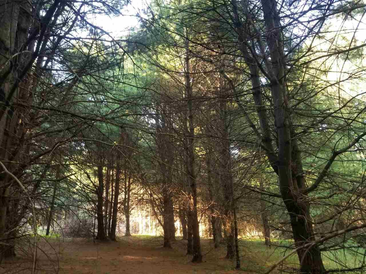 Tbd Irish Cape Road Ellenville, NY 12428 - Photo 26 of 29 Photo 26