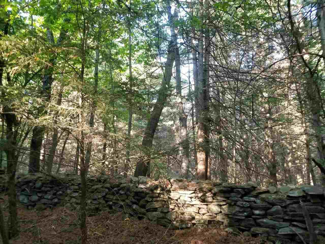 Tbd Irish Cape Road Ellenville, NY 12428 - Photo 27 of 29 Photo 27