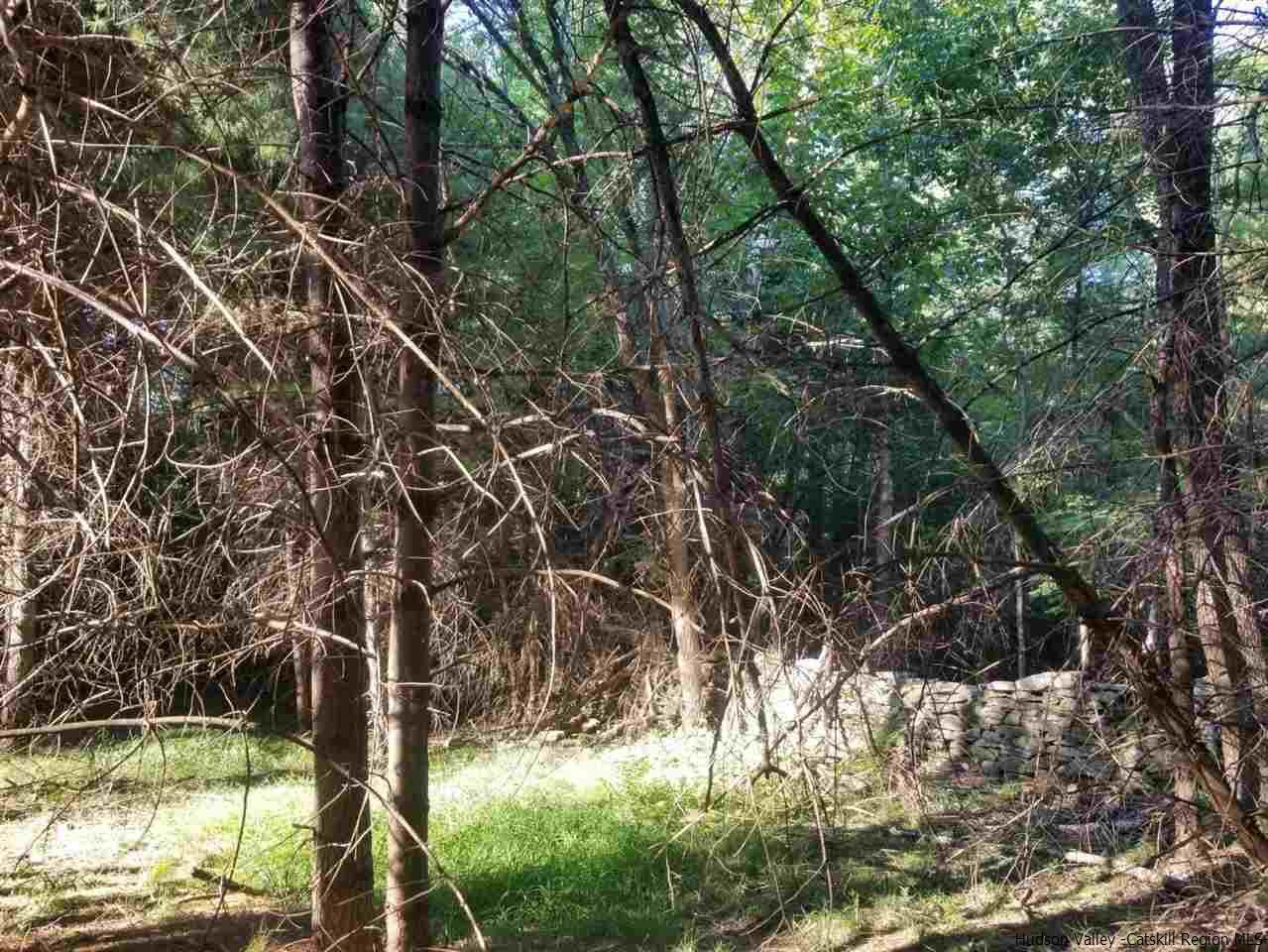 Tbd Irish Cape Road Ellenville, NY 12428 - Photo 28 of 29 Photo 28