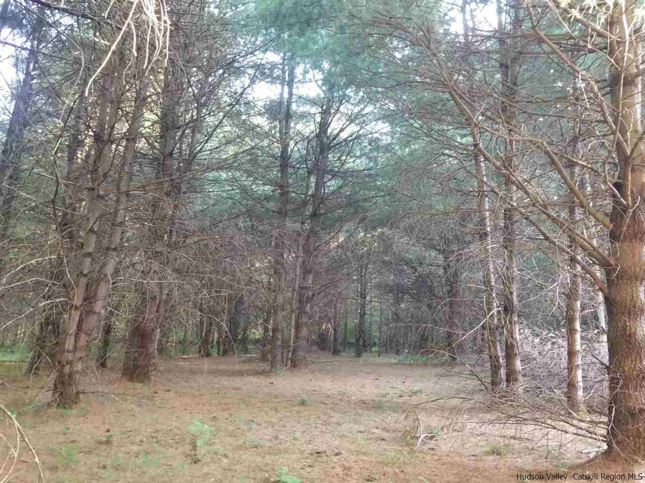 Tbd Irish Cape Road Ellenville, NY 12428 - Photo 29 of 29 Photo 29