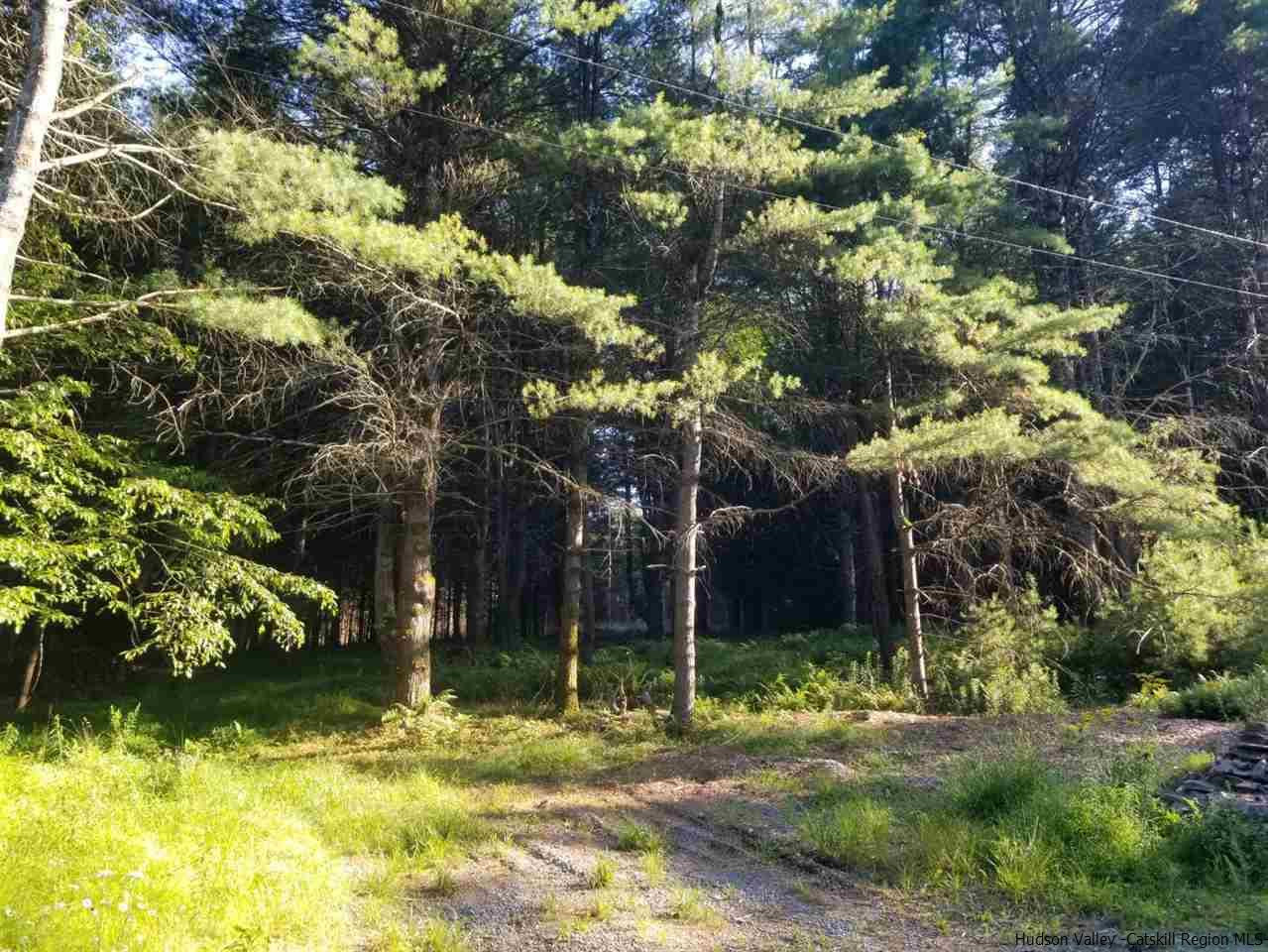 Tbd Irish Cape Road Ellenville, NY 12428 - Photo 3 of 29 Photo 3