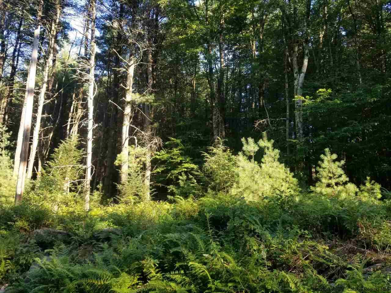 Tbd Irish Cape Road Ellenville, NY 12428 - Photo 4 of 29 Photo 4