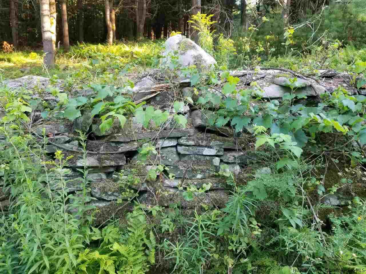 Tbd Irish Cape Road Ellenville, NY 12428 - Photo 5 of 29 Photo 5
