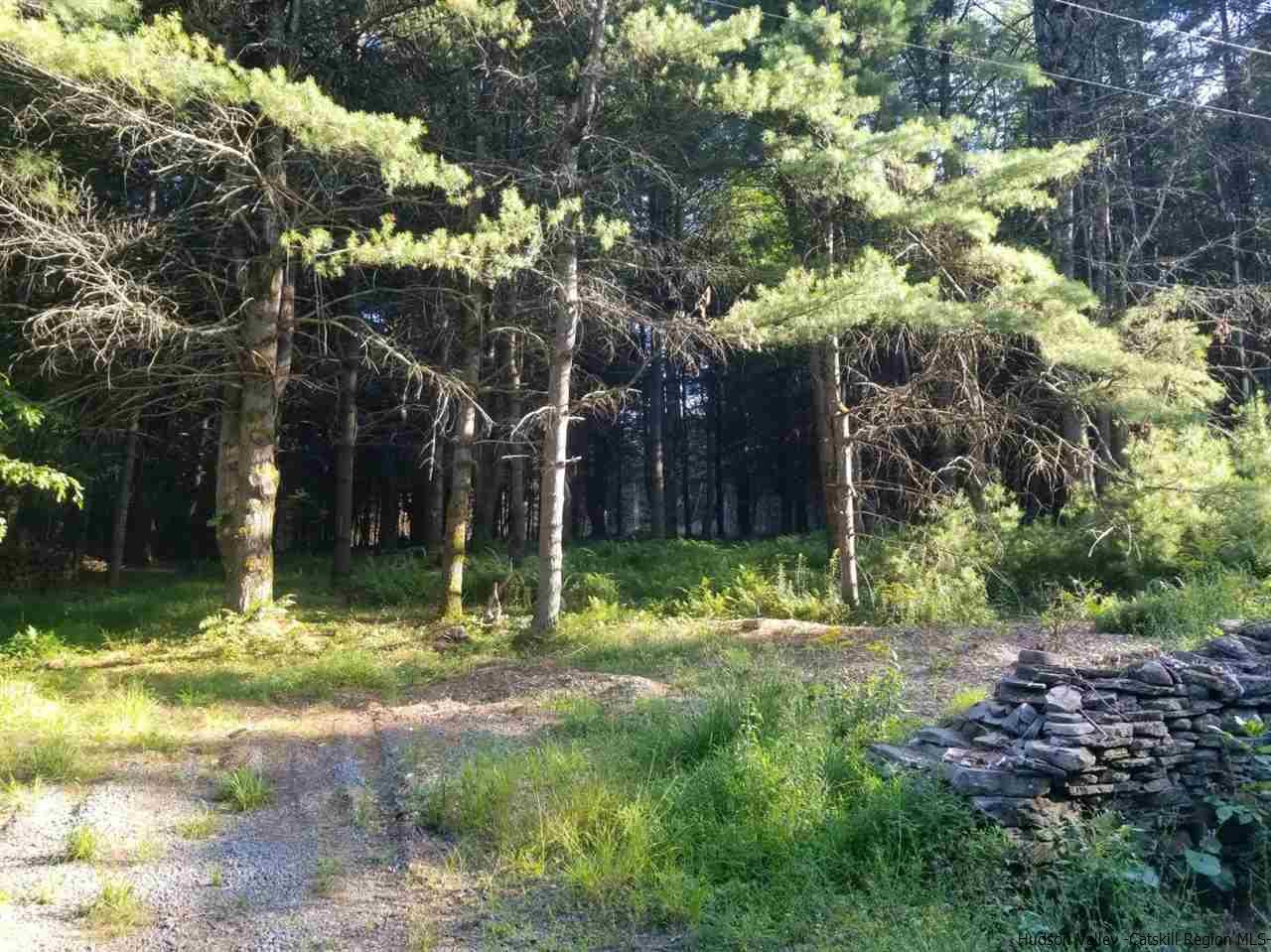 Tbd Irish Cape Road Ellenville, NY 12428 - Photo 6 of 29 Photo 6
