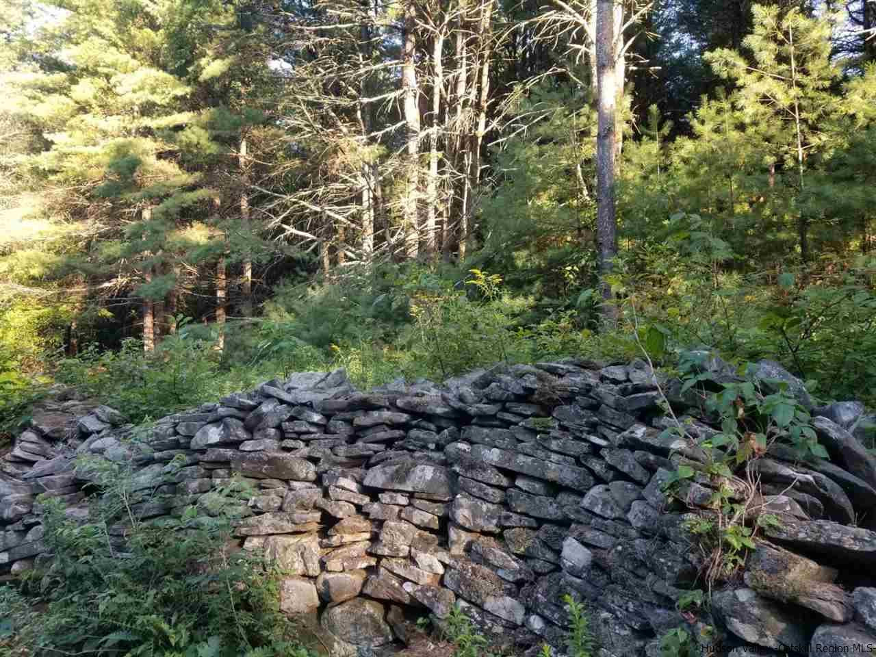 Tbd Irish Cape Road Ellenville, NY 12428 - Photo 7 of 29 Photo 7