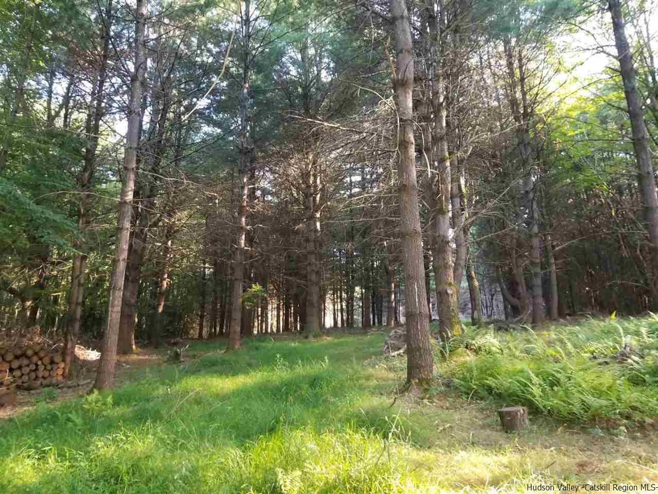 Tbd Irish Cape Road Ellenville, NY 12428 - Photo 8 of 29 Photo 8