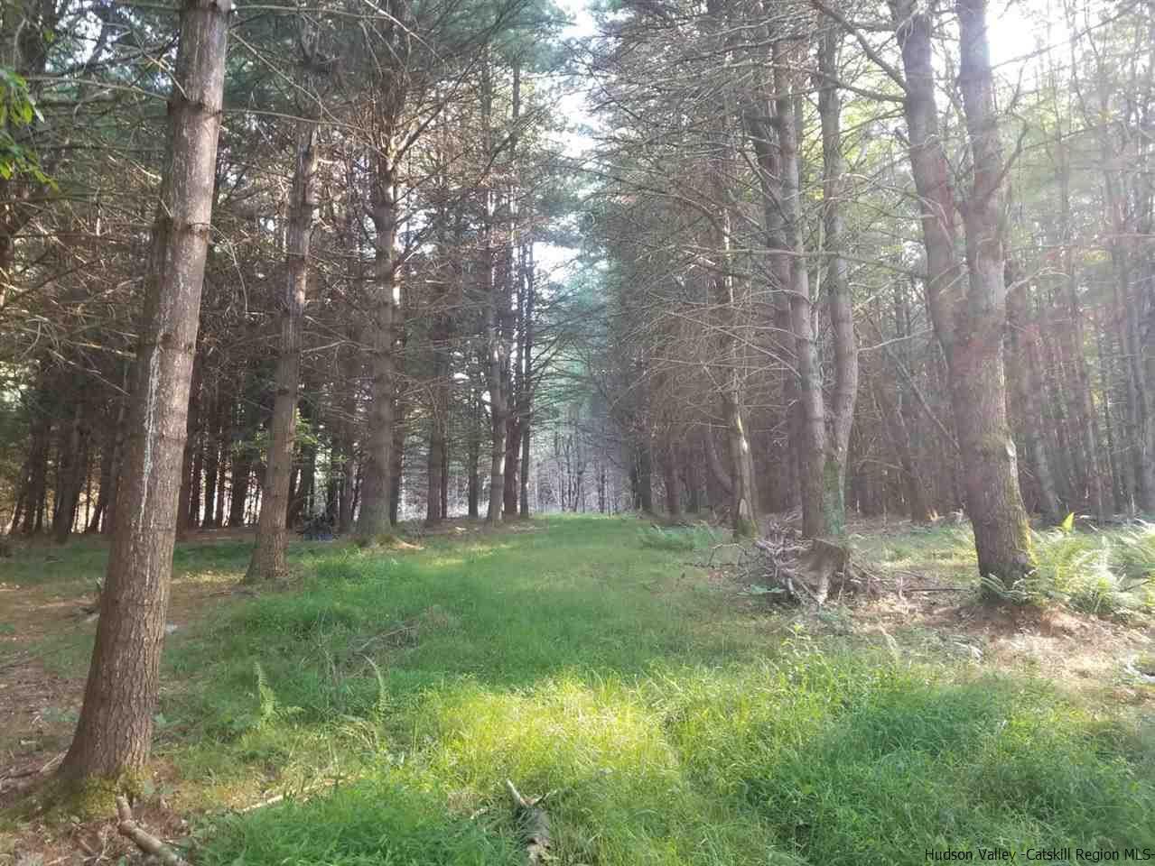Tbd Irish Cape Road Ellenville, NY 12428 - Photo 9 of 29 Photo 9