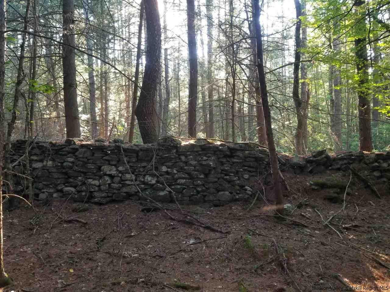 Tbd Irish Cape Road Ellenville, NY 12428 - Photo 10 of 29 Photo 10