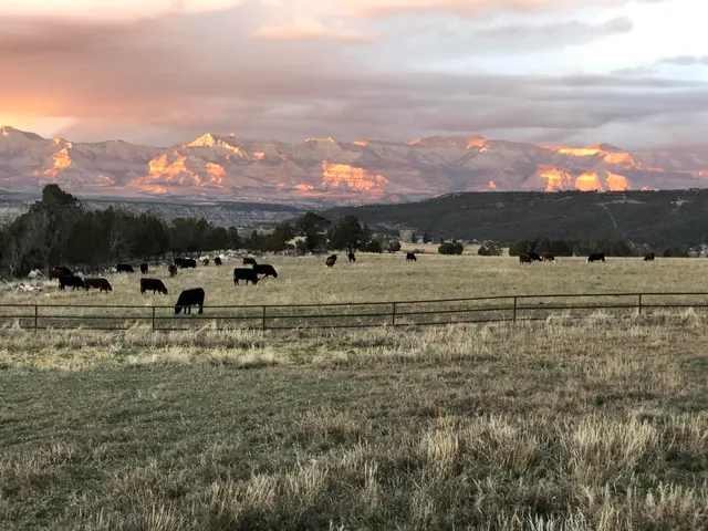 a picture of a bench in the window