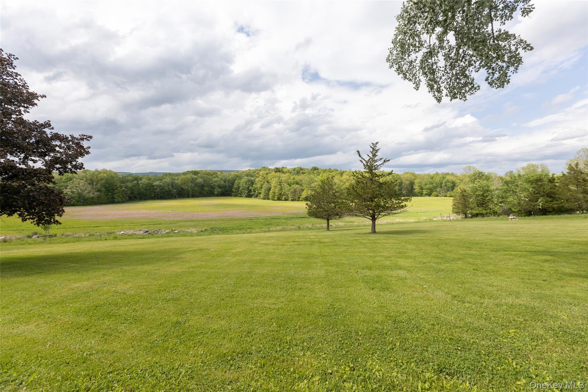4 Low Road Wallkill, NY 12589 - Photo 4 of 50