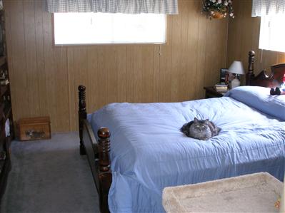 58 Arthur Drive, Unit 58 Santa Rosa, CA 95403 - Photo 9 of 12 Master bedroom - kitty not included!