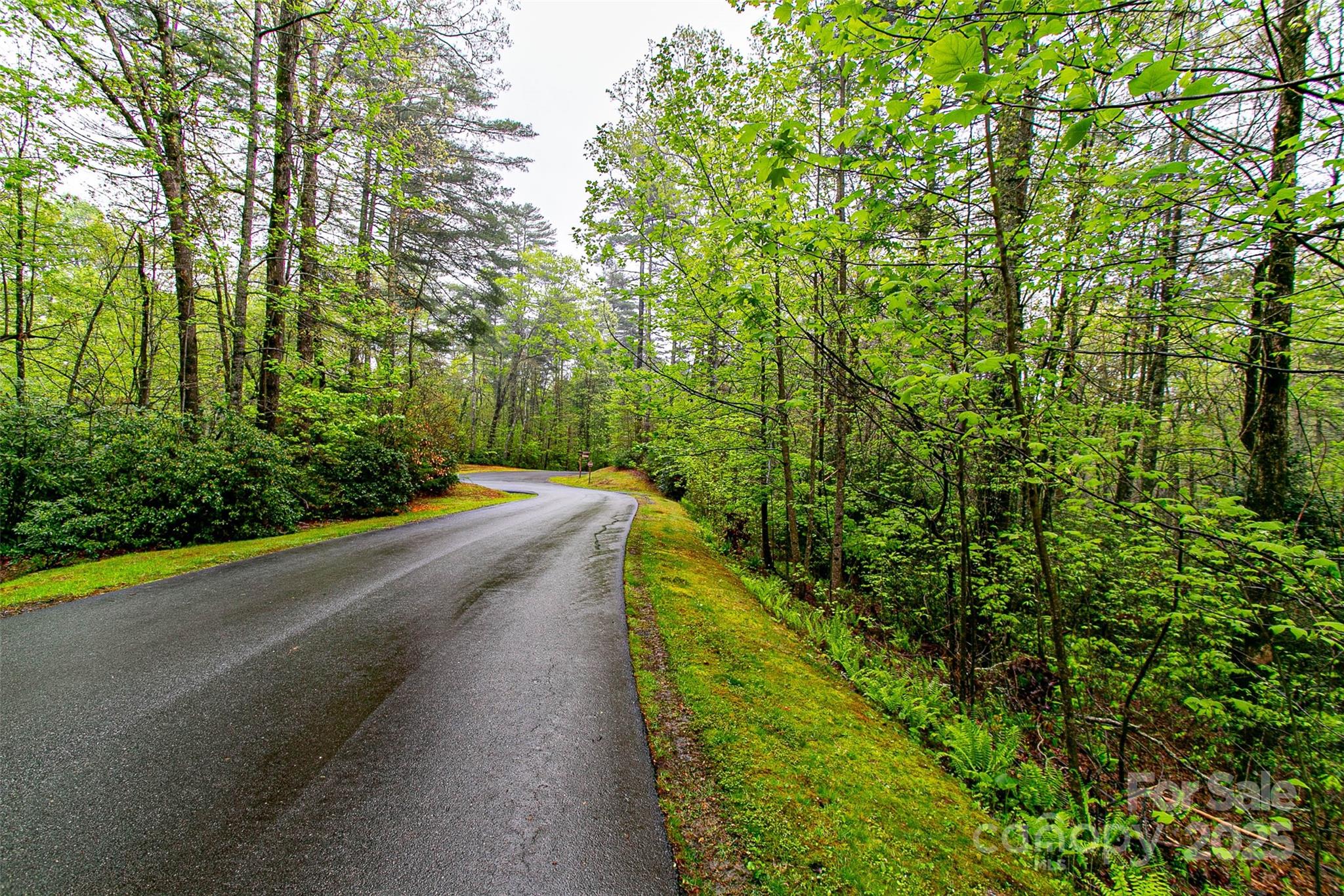 Tbd High Hemlock Trail, Unit 46 Brevard, NC 28712 - Photo 1 of 21 a view of a yard with plants and large trees