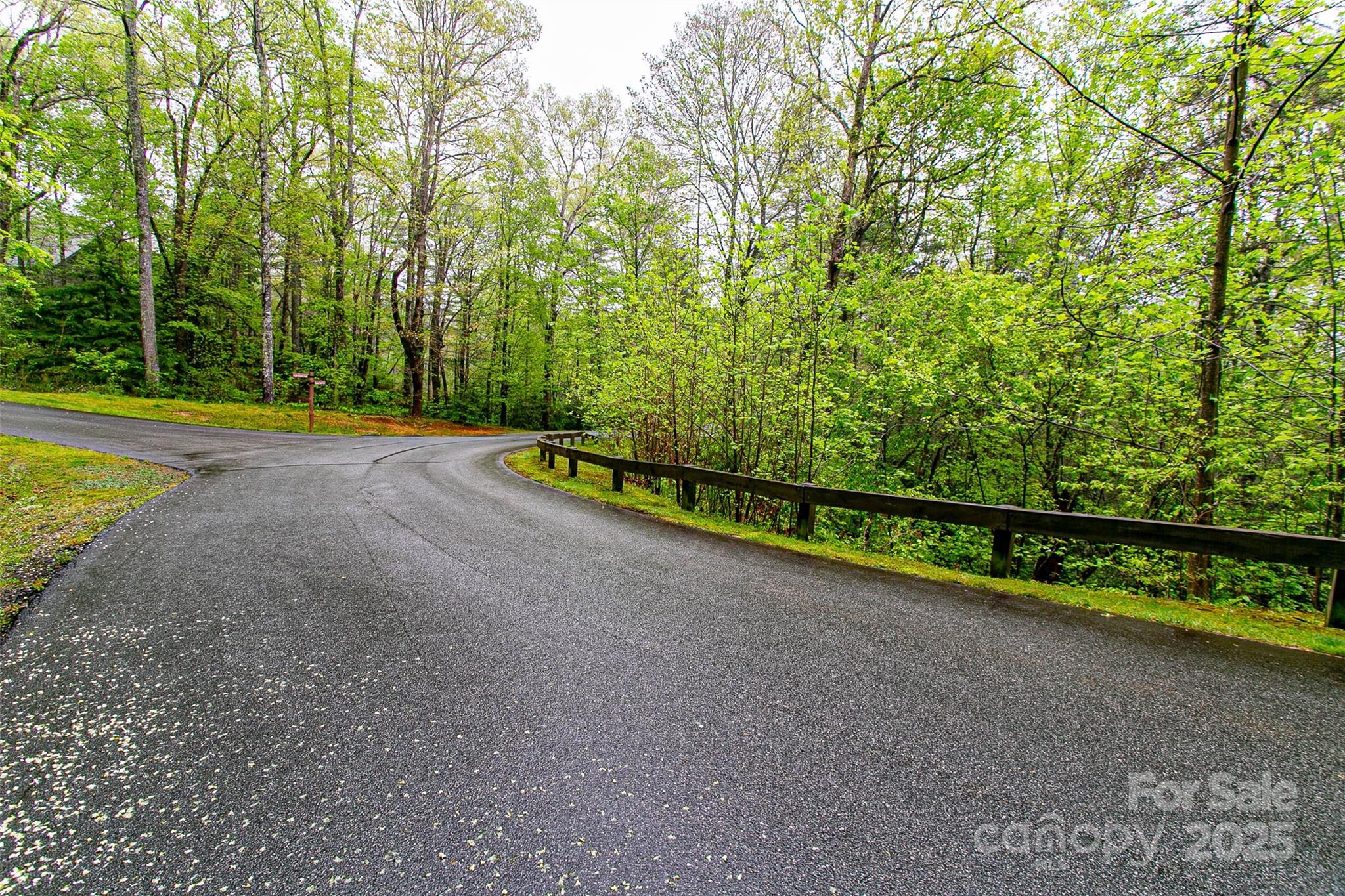Tbd High Hemlock Trail, Unit 46 Brevard, NC 28712 - Photo 2 of 21 a view of outdoor space and garden