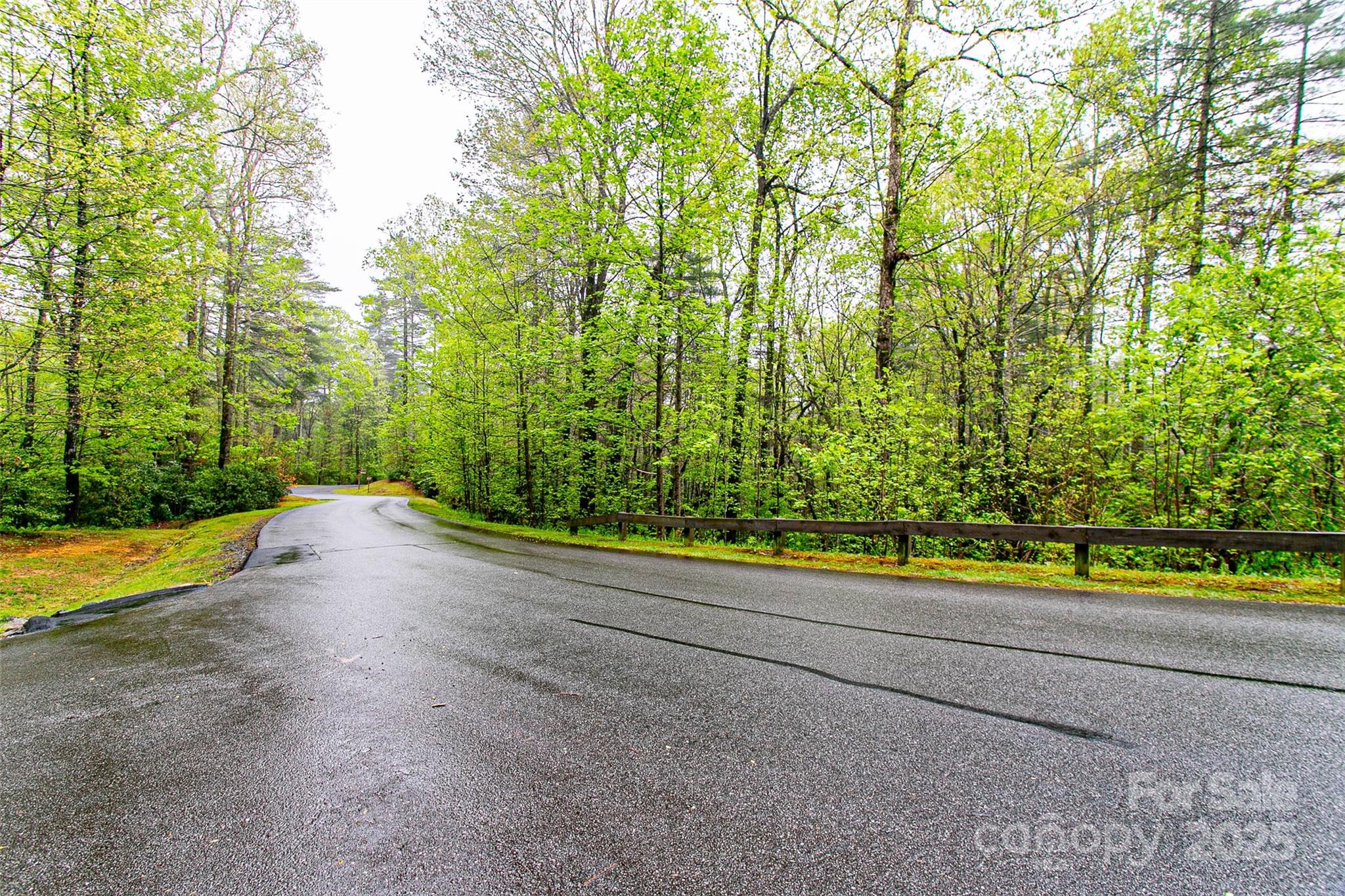 Tbd High Hemlock Trail, Unit 46 Brevard, NC 28712 - Photo 3 of 21 a view of a yard with a large trees
