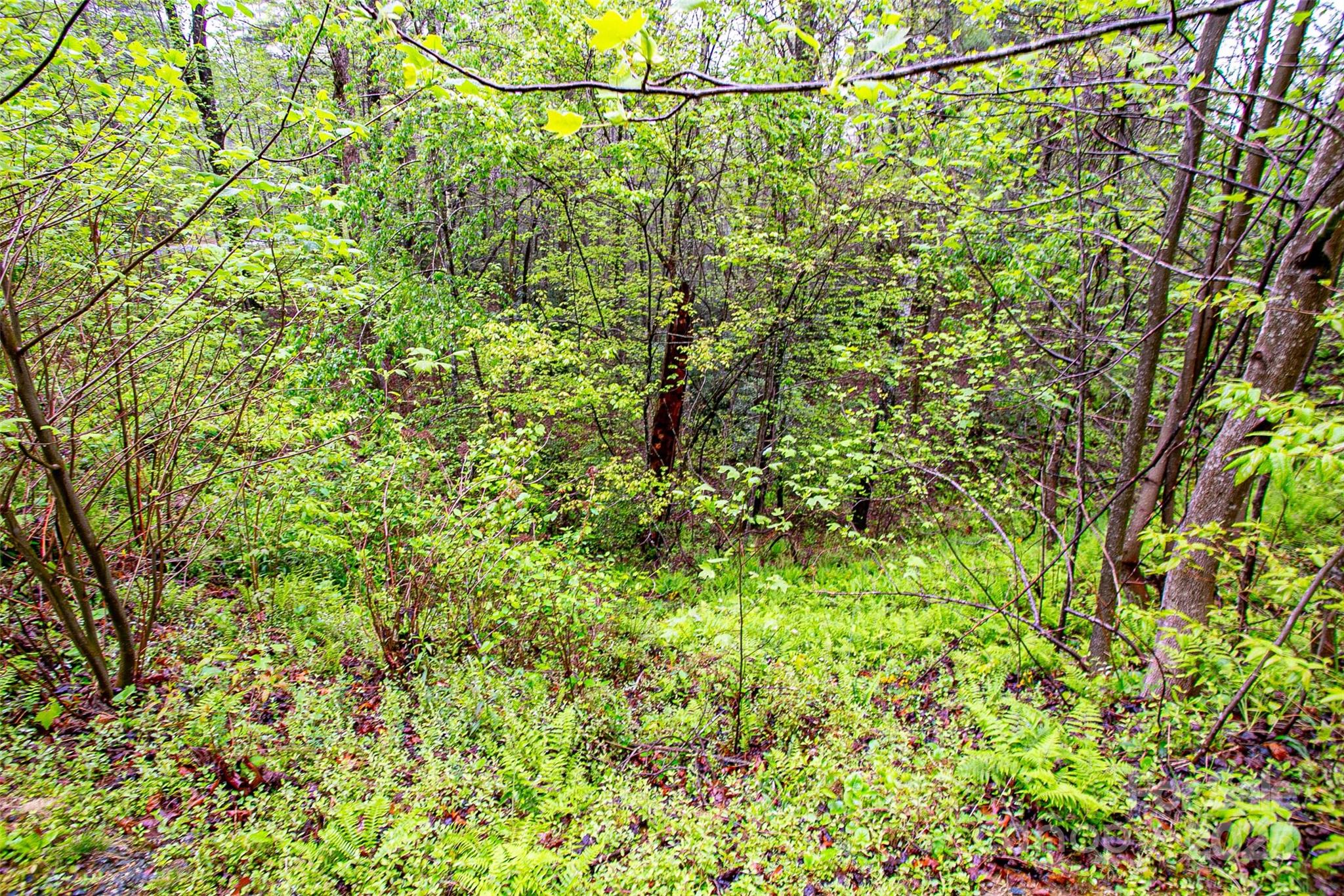 Tbd High Hemlock Trail, Unit 46 Brevard, NC 28712 - Photo 4 of 21 a view of a yard