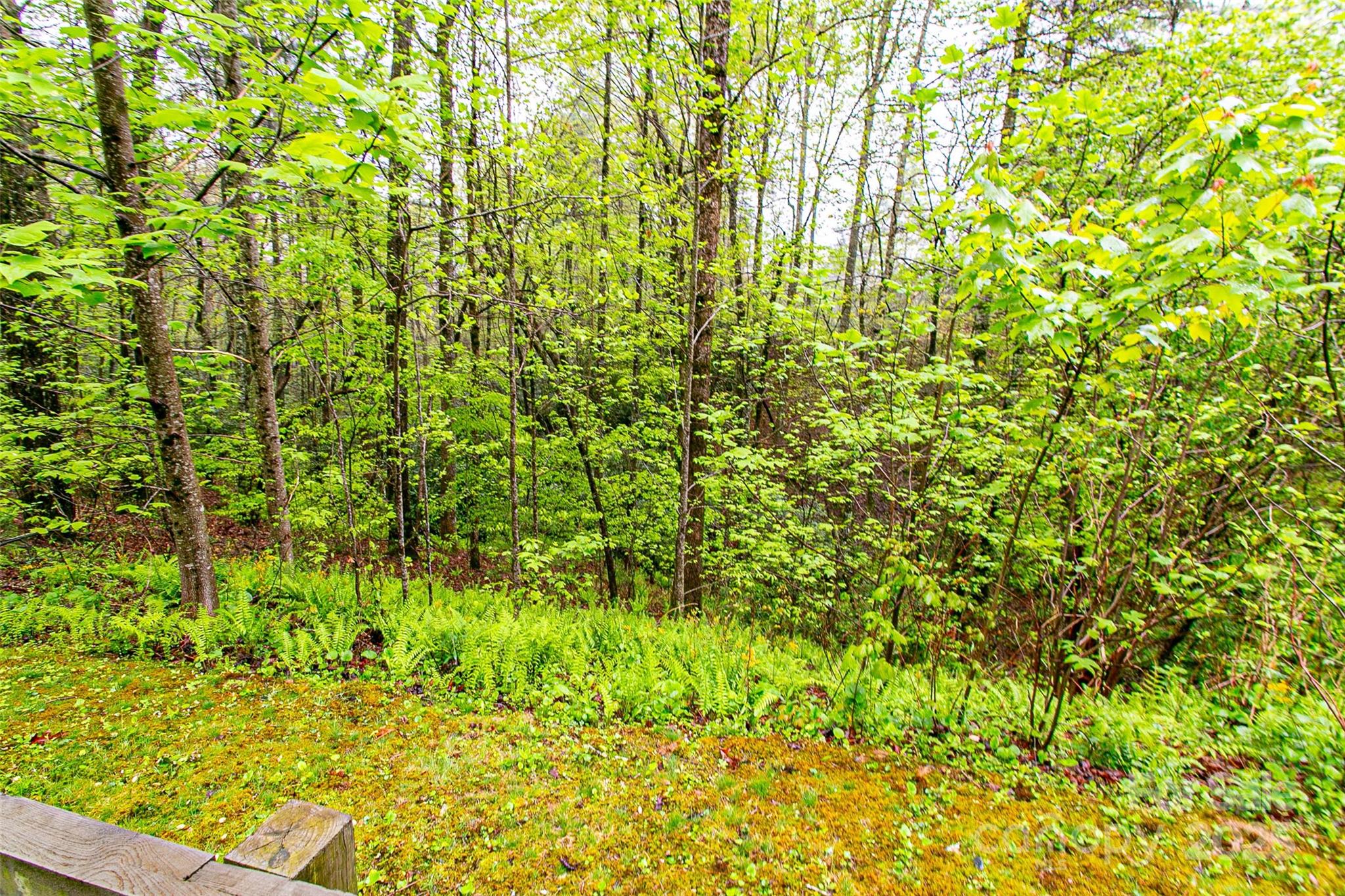 Tbd High Hemlock Trail, Unit 46 Brevard, NC 28712 - Photo 5 of 21 a view of a garden