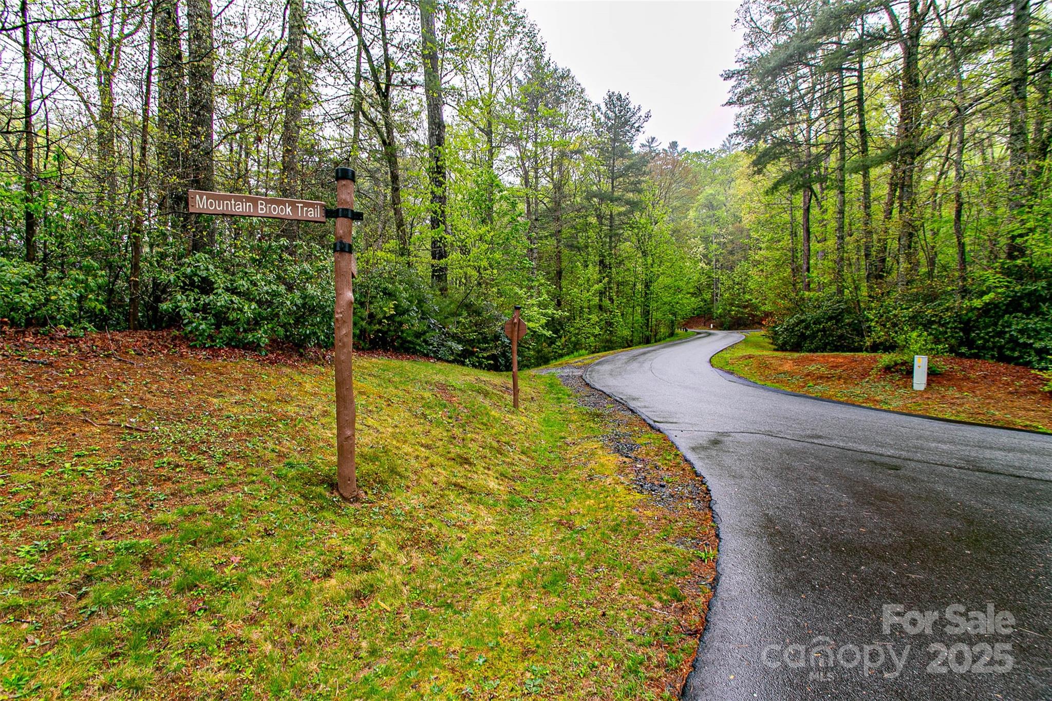 Tbd High Hemlock Trail, Unit 46 Brevard, NC 28712 - Photo 6 of 21 a backyard of a house with lots of green space