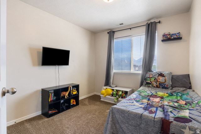 12238 South Madison View Drive Riverton, UT 84065 - Photo 22 of 37