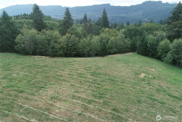 a view of an outdoor space and trees