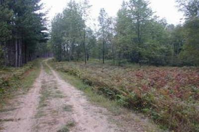 2872 East Meisenheimer Road, Unit 4 Custer, MI 49405 - Photo 1 of 7 Primary Photo