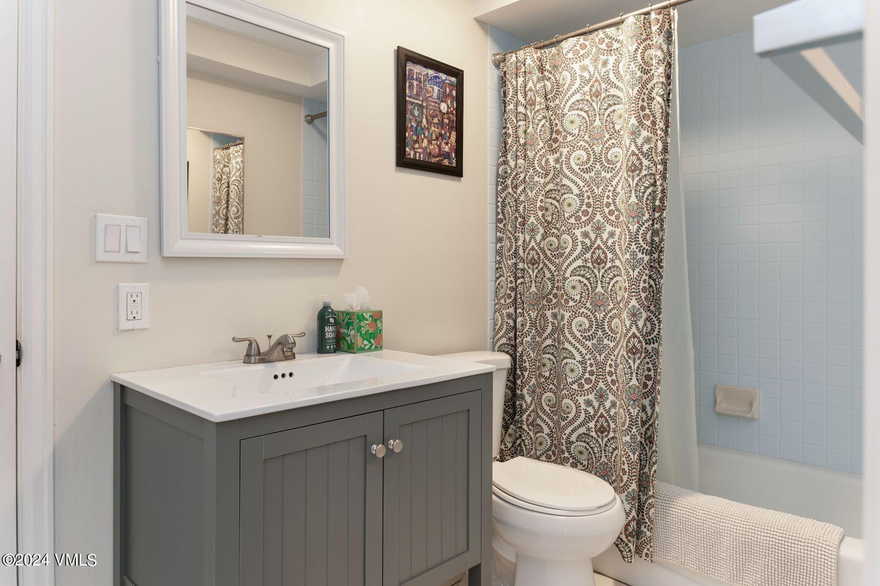 245 Pine Street Minturn, CO 81645 - Photo 18 of 44 a bathroom with a sink mirror and toilet