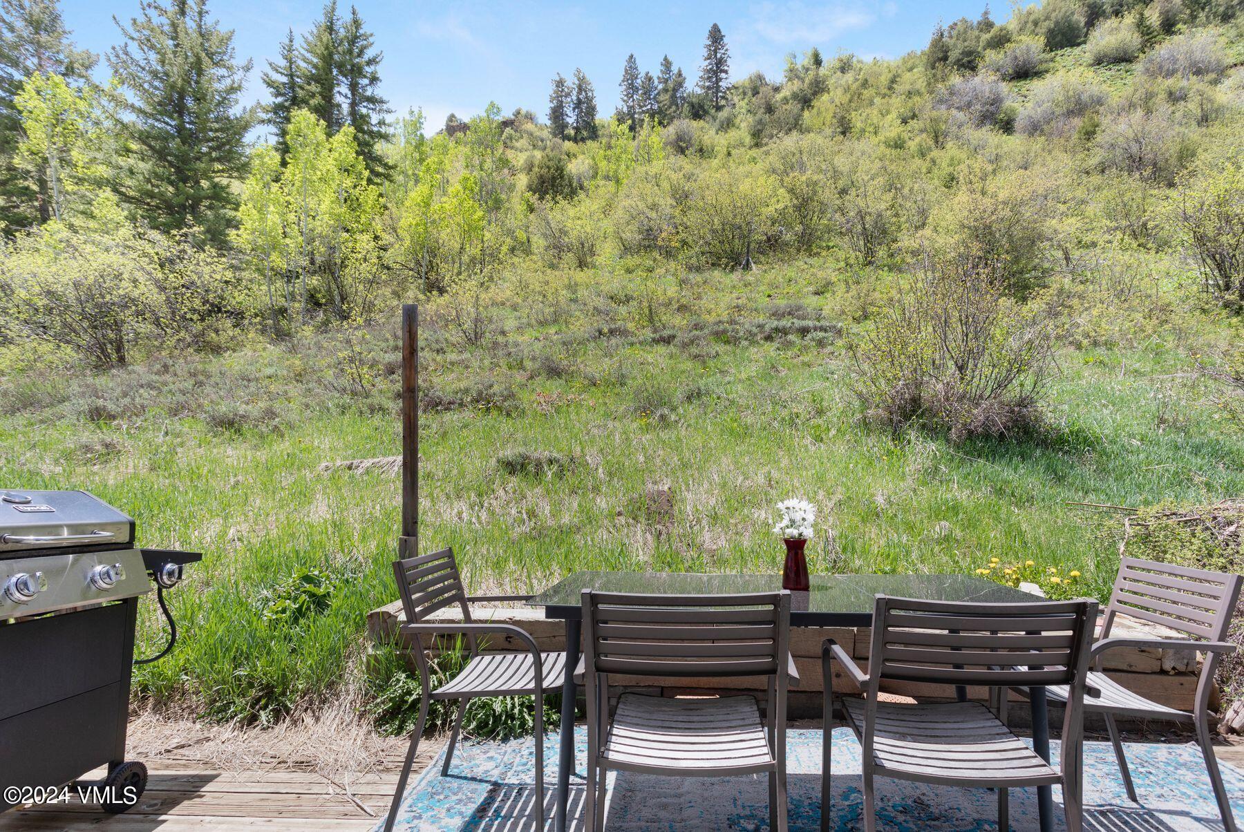 245 Pine Street Minturn, CO 81645 - Photo 38 of 44 a view of a yard with furniture and a yard
