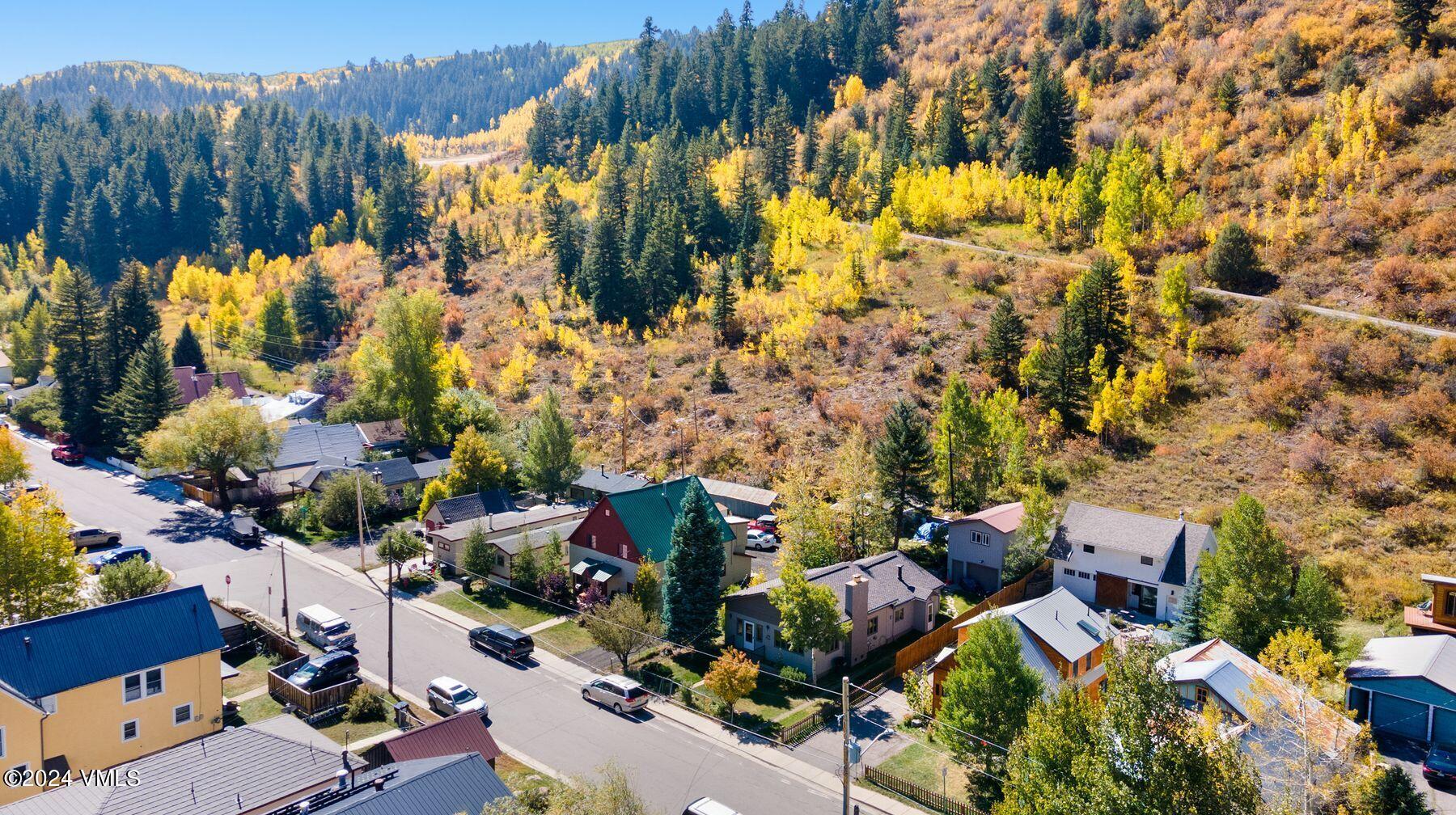 245 Pine Street Minturn, CO 81645 - Photo 43 of 44 a view of open area