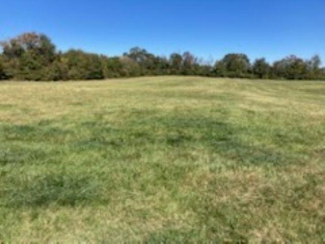 0 Cudd Road Chesnee, SC 29323 - Photo 2 of 6