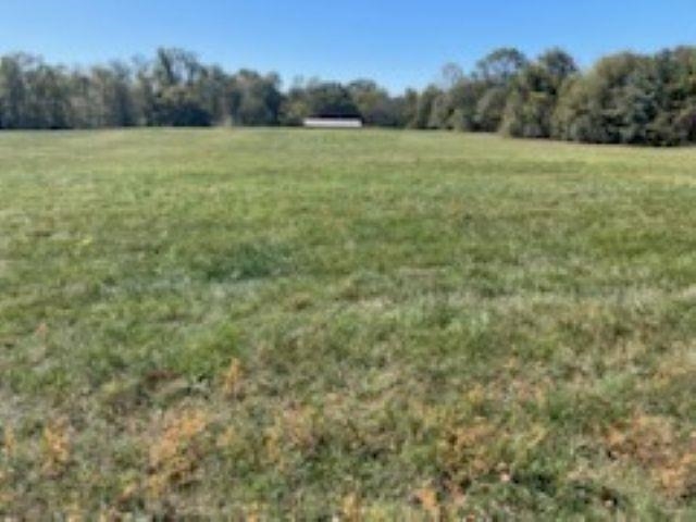 0 Cudd Road Chesnee, SC 29323 - Photo 3 of 6