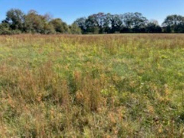 0 Cudd Road Chesnee, SC 29323 - Photo 4 of 6