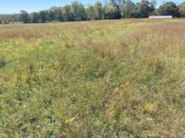 0 Cudd Road Chesnee, SC 29323 - Photo 6 of 6