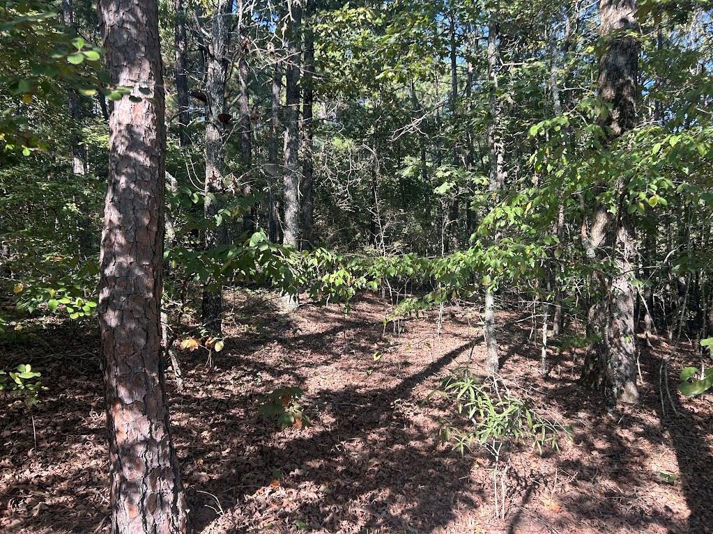 0 Springer Road Whitesburg, GA 30185 - Photo 3 of 12 Gallery Image 3