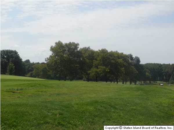 1640 Forest Hill Road Staten Island, NY 10314 - Photo 20 of 20 a backyard of a house with lots of green space and fog