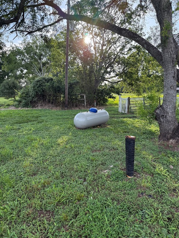 315 Pony Lane Simonton, TX 77485 - Photo 2 of 9