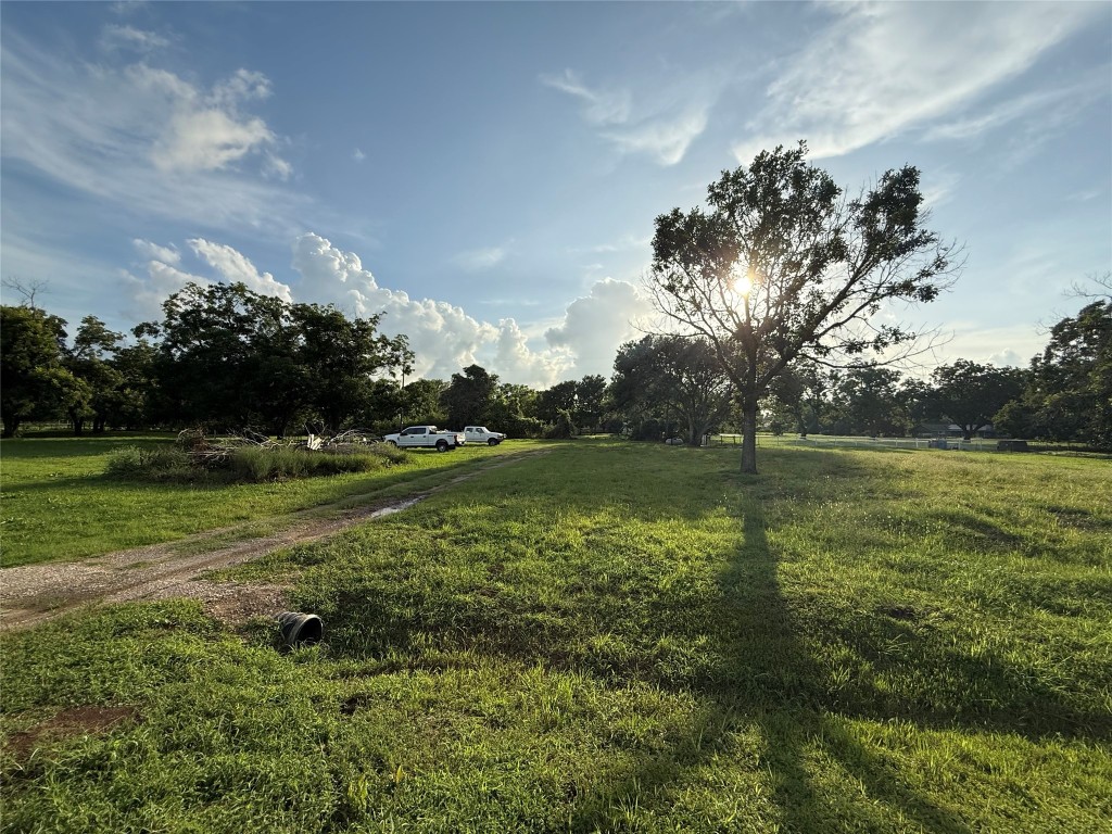 315 Pony Lane Simonton, TX 77485 - Photo 4 of 9