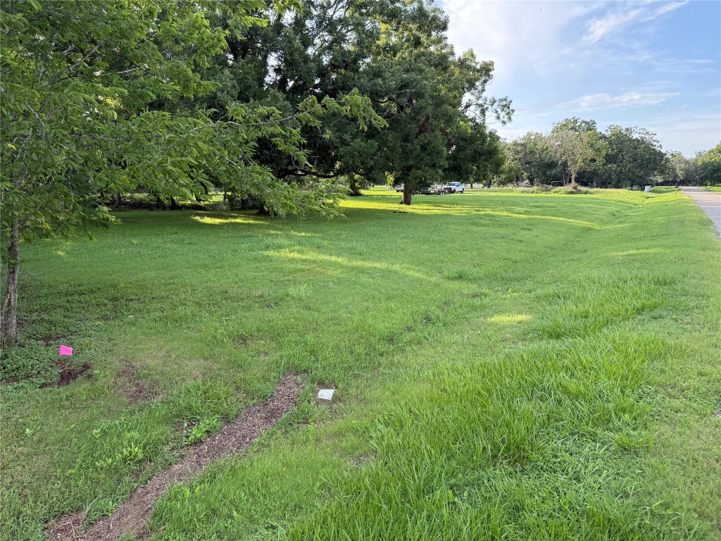 315 Pony Lane Simonton, TX 77485 - Photo 7 of 9