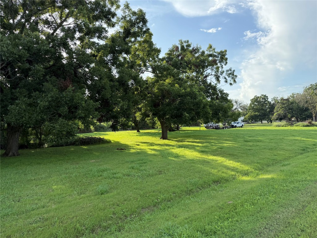 315 Pony Lane Simonton, TX 77485 - Photo 8 of 9