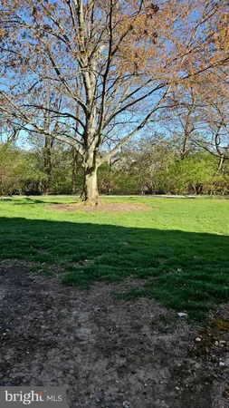 a view of a park
