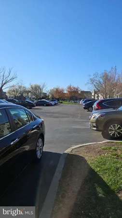a big yard with lots of trees and plants
