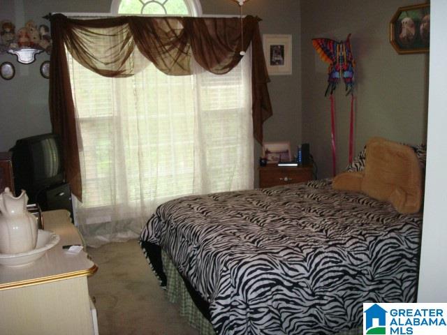 3701 Taylors Mill Road Talladega, AL 35160 - Photo 9 of 37